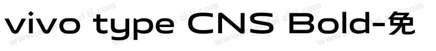 vivo type CNS Bold字体转换
